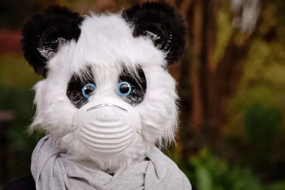 Ρόλερς Καζίνο Υποστηριξη